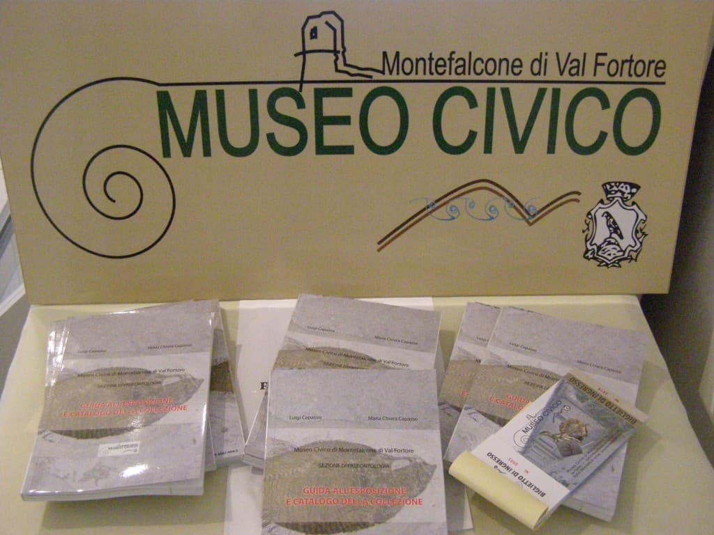 Museo Civico di Montefalcone di Val Fortore – sezione di paleontologia